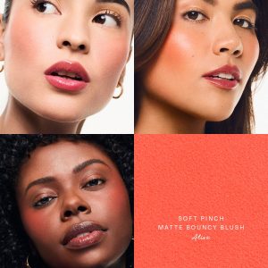 soft pinch matte bouncy blush